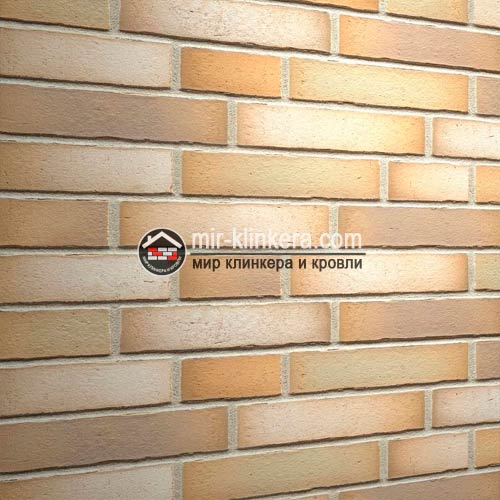 Клинкерная плитка Feldhaus Klinker R916DF14 vario sabiosa canuviri
