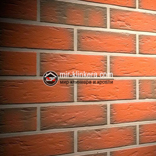 Клинкерная фасадная плитка Feldhaus Klinker R343NF14 Ardor senso