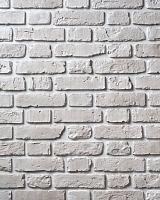 Декоративный облицовочный кирпич Portland-Stone XIX век 190-010
