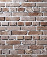 Декоративный облицовочный кирпич Portland-Stone XIX век 191-157