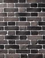 Декоративный облицовочный кирпич Portland-Stone XIX век 199-275