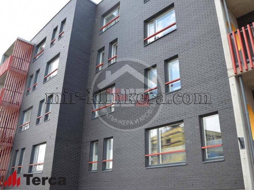 Кирпич облицовочный Terca Nero гладкий фото 3