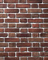 Декоративный облицовочный кирпич Portland-Stone XIX век 198-678