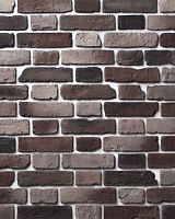 Декоративный облицовочный кирпич Portland-Stone XIX век 194-537