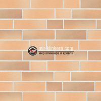 Клинкерная фасадная плитка ABC-klinkergruppe Elmshorn Ockergrau
