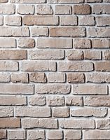 Декоративный облицовочный кирпич Portland-Stone XIX век 191-100
