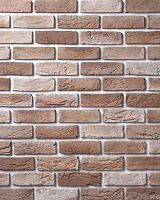 Декоративный облицовочный кирпич Portland-Stone Бельгийский кирпич 142-917