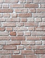 Декоративный облицовочный кирпич Portland-Stone XIX век 197-100