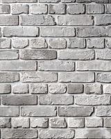 Декоративный облицовочный кирпич Portland-Stone XIX век 194-100