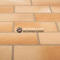 Тротуарная плитка Stroeher Spaltklinker 123 Beige bunt 240х115 мм