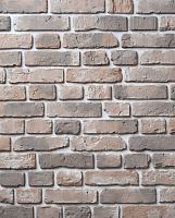Декоративный облицовочный кирпич Portland-Stone XIX век 195-390