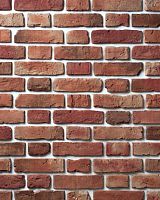 Декоративный облицовочный кирпич Portland-Stone XIX век 192-568