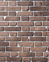 Декоративный облицовочный кирпич Portland-Stone XIX век 196-587