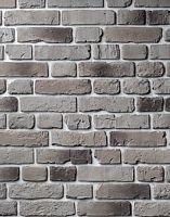 Декоративный облицовочный кирпич Portland-Stone XIX век 194-559