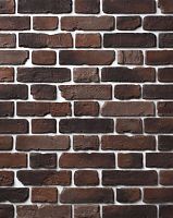Декоративный облицовочный кирпич Portland-Stone XIX век 196-238