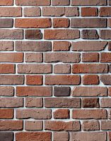 Декоративный облицовочный кирпич Portland-Stone XIX век 193-859